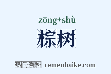 棕树是什么意思的图片